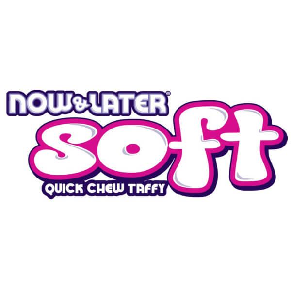 Now and Later Soft Fruit Chews Candy Packs - Original: 24-Piece Box - Candy Warehouse