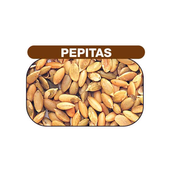 Pepitas Nuts - Roasted & Salted: 20LB Case - Candy Warehouse