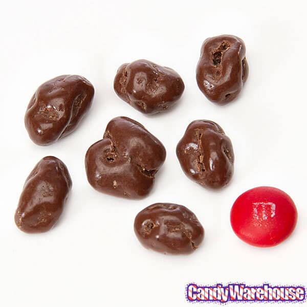Raisinets Milk Chocolate Raisins Candy 3.5-Ounce Packs: 15-Piece Box - Candy Warehouse