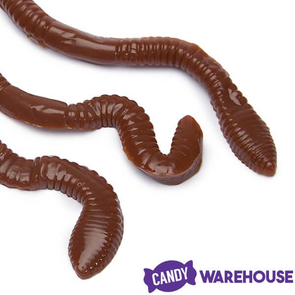 Realistic Gummy Earthworms Candy: 30-Piece Bag - Candy Warehouse