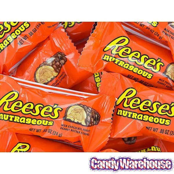 Reese's Nutrageous Snack Size Candy Bars 10Piece Bag Candy Warehouse
