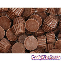 Reese's Peanut Butter Cups Minis Candy: 7.6-Ounce Bag - Candy Warehouse