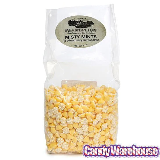 Smooth and Melty Mini Nonpareil Mint Chocolate Chips - Yellow: 16-Ounce ...