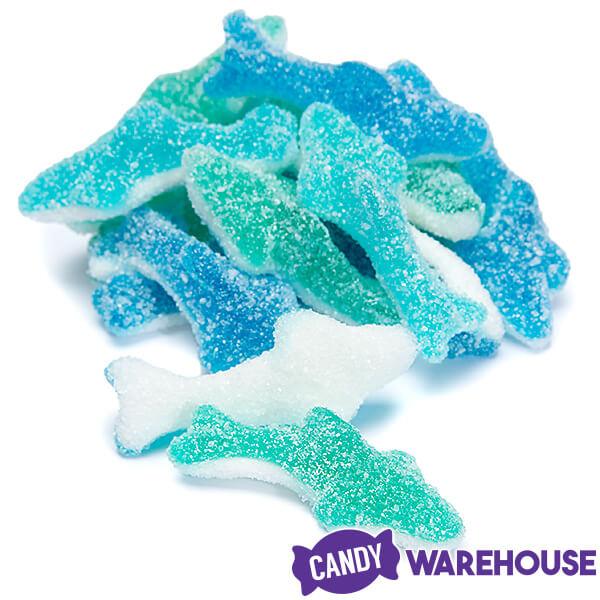 Sour Gummy Sharks Candy: 100-Piece Jar - Candy Warehouse