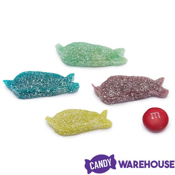 Sour Punch Bites Chewy Candy Narwhals: 8-Ounce Bag - Candy Warehouse