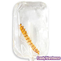 Tequila Worm Lollipops: 36-Piece Box - Candy Warehouse