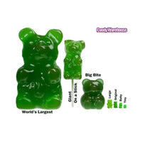 Tiny Gummy Bears Candy: 5LB Bag - Candy Warehouse