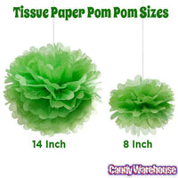 Tissue Paper 14-Inch Pom Pom - Jasmine Green - Candy Warehouse