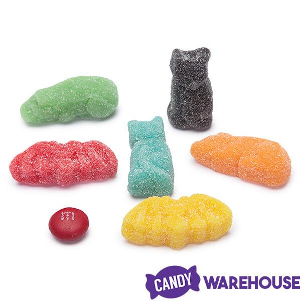 Trolli Sour Brite Gummy Bats, Cats, and Rats: 3LB Box - Candy Warehouse