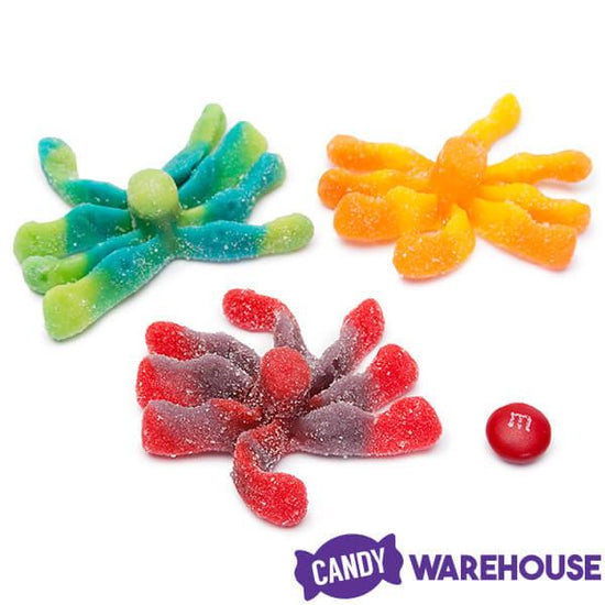 Trolli Sour Brite Gummy Octopus Candy 35Piece Jar Candy Warehouse