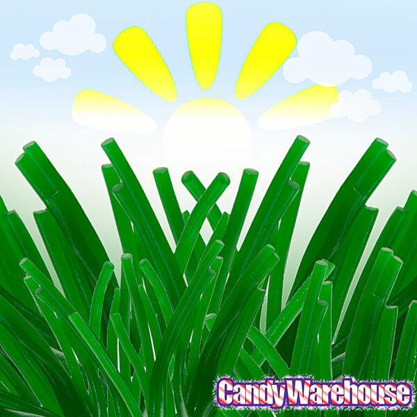 Twizzlers Easter Grass Green Apple Licorice Twists: 10.5-Ounce Bag - Candy Warehouse