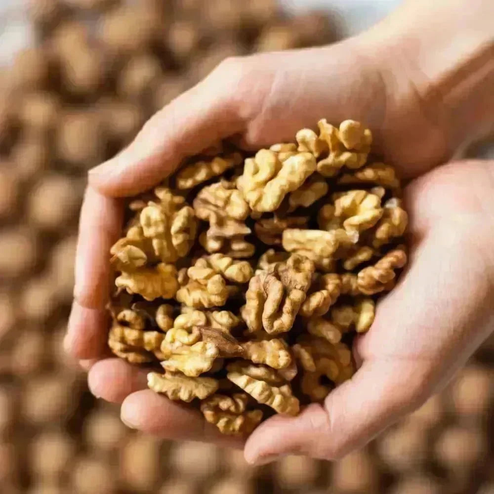 Sprouting Walnuts Lark Ellen Farm Organic Sprouted Walnuts – Candy Warehouse