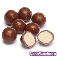 Whoppers Candy 1.75-Ounce Packs: 24-Piece Box - Candy Warehouse